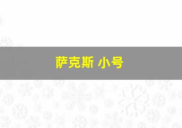 萨克斯 小号